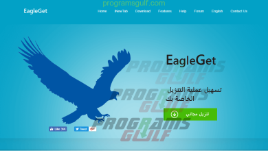 شرح مفصل لبرنامج EagleGet للتحميل من الانترنت