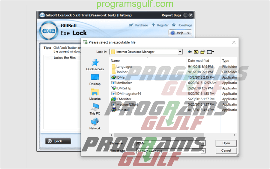 برنامج GiliSoft EXE Lock