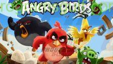 لعبة الطيور الغاضبة ANGRY BIRDS