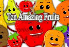 Ten Amazing Fruits
